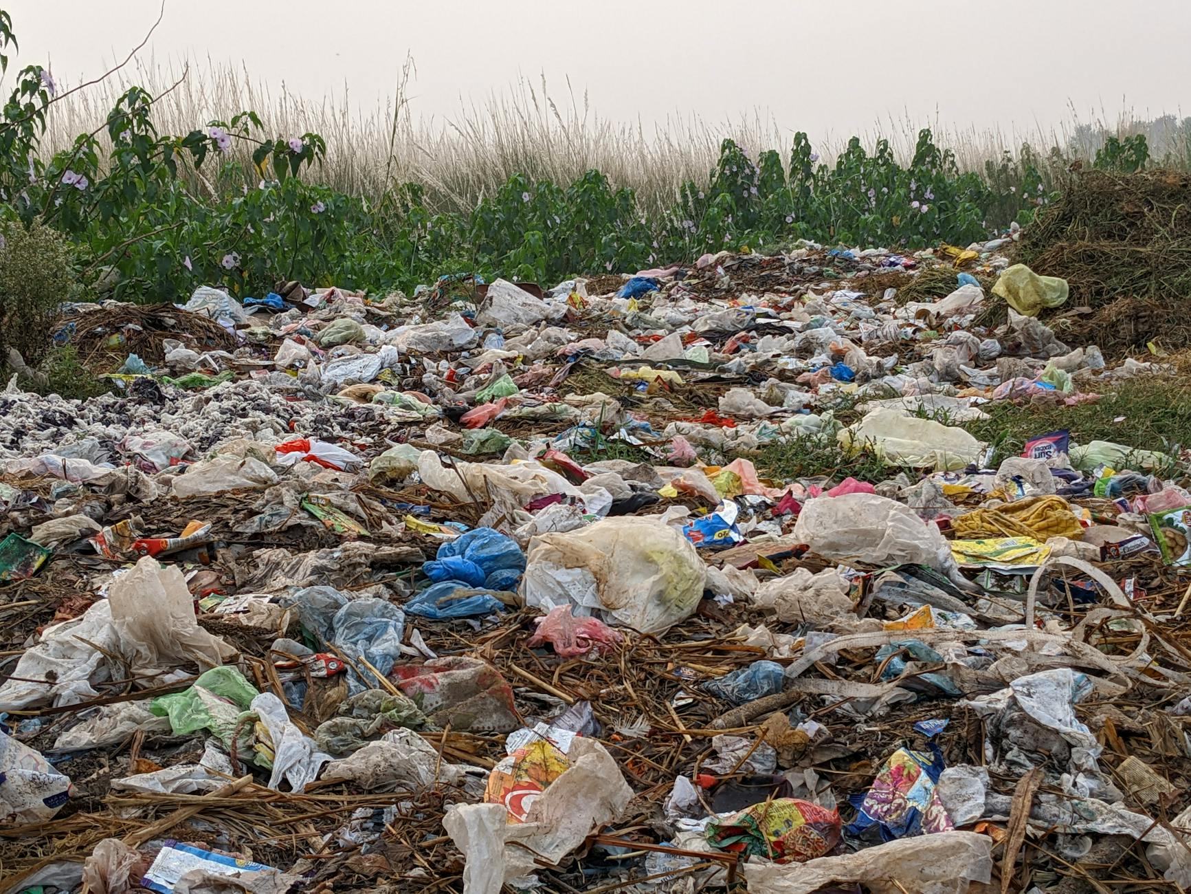 field covered in plastic bags and other trash